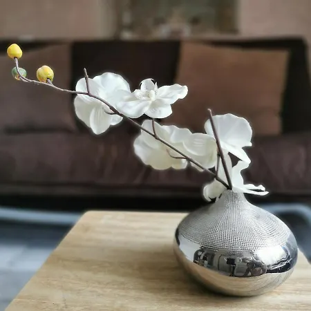 Lesoleilo Gasthof Mostuéjouls